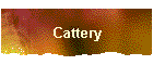 Cattery