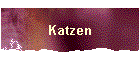 Katzen