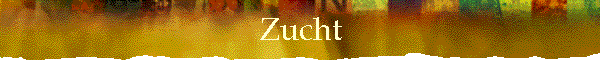Zucht