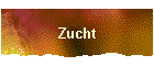 Zucht