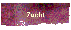 Zucht